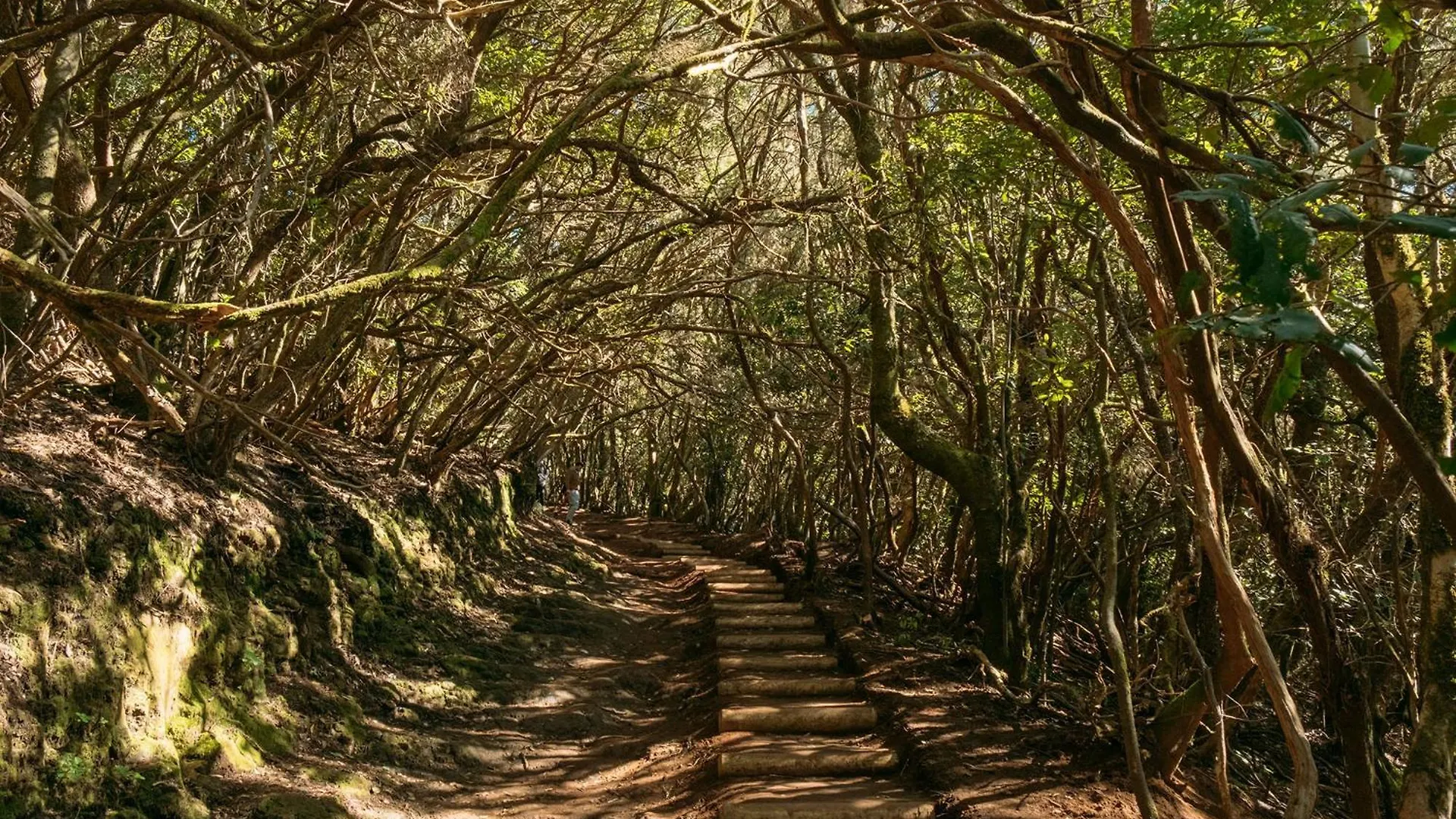 Secret Location Of Las Teresitas San Andres  0*, San Andres (Tenerife)